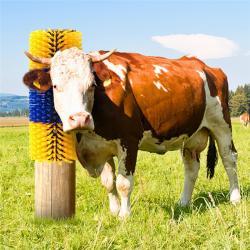 Массажная щетка для коров без электропитания (арт. 25-1408388)