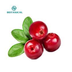 Органический концентрат клюквенного экстракта в капсулах с антоцианинами (арт. 25-17072220)