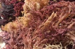 Капсулы Sea Moss с шиладжитом и морским мхом (арт. 25-17072237)