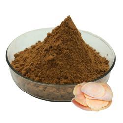 Экстракт корня Tongkat Ali 200:1 для улучшения выносливости и энергии (арт. 25-17072302)