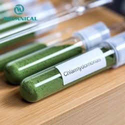 Экстракт органической чистой хламидомонады с высоким содержанием белка для пищевых целей (арт. 25-17072333)