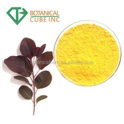 Экстракт физетина 98% (арт. 25-17072334)