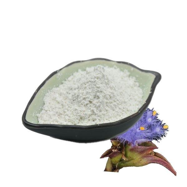 Спортивная добавка с экстрактом цианотиса арахноидея 10%-90% (арт. 25-17072355)