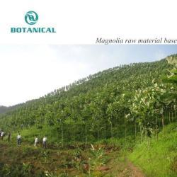Экстракт коры магнолии 90% (арт. 25-17072357)