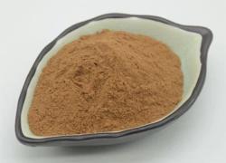 Экстракт кошачьего когтя Scrophulariaceae с содержанием гликозидов 5% Uv (арт. 25-17072363)