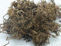 Экдистерон из экстракта Cyanotis Arach-noidea (арт. 25-17072372)