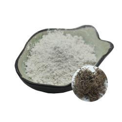 Экстракт пудры Бета Экдистерон (арт. 25-17072375)