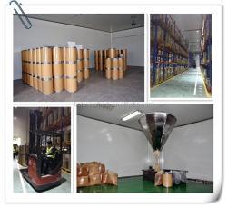 Экстракт пудры Бета Экдистерон (арт. 25-17072375)