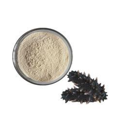 Экстракт порошка морского огурца сушеный (арт. 25-17072412)