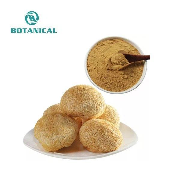 Экстракт гриба Львиная Грива 10%-50% полисахаридов (арт. 25-17072467)