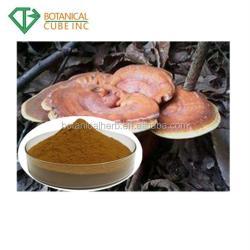 Экстракт гриба рейши в капсулах с порошком 30% полисахаридов (арт. 25-17072469)