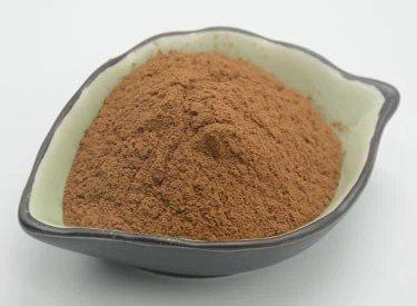 Экстракт Антродии Камфорной с Полисахаридами 30% 50% (арт. 25-17072472)