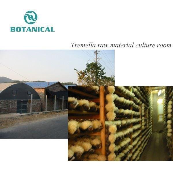 Увлажняющий экстракт трепанга с полисахаридами 90% (арт. 25-17072474)