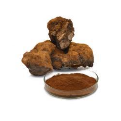 Экстракт Инотуса обликуса в порошк (арт. 25-17072475)