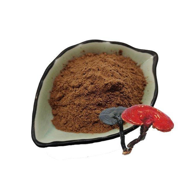 Порошок экстракта гриба Линчжи 100% натуральный (арт. 25-17072477)