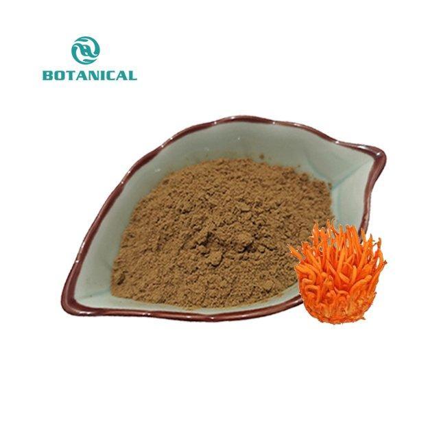 Капсулы Cordyceps Sinensis с экстрактом Cordyceps Militaris (арт. 25-17072480)