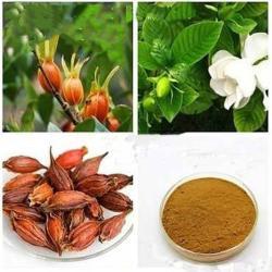 Пищевой пигмент Gardenia Yellow для пищевых продуктов (арт. 25-17072513)