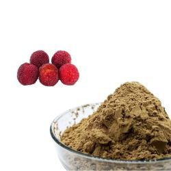 Экстракт байберри в порошке 10:1 (арт. 25-17072536)