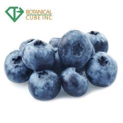 Порошок черники для функциональных напитков (арт. 25-17072543)