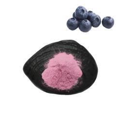 Порошок органический из сушенной черники (арт. 25-17072548)