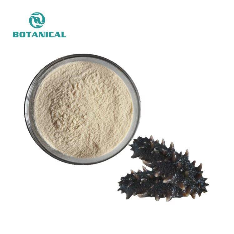 Порошок морского огурца с экстрактом голотурии 90% протеина (арт. 25-17072574)