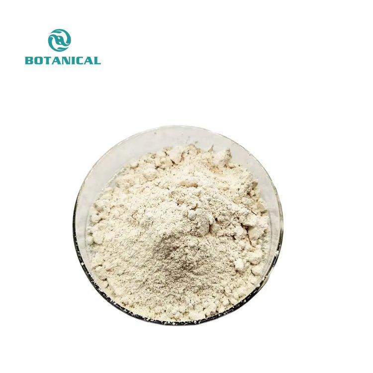 Порошок морского огурца с экстрактом голотурии 90% протеина (арт. 25-17072574)