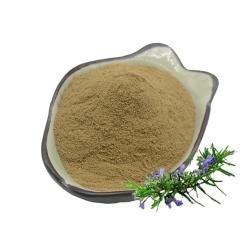 Экстракт розмарина с карнозной кислотой для здоровья и красоты кожи (арт. 25-17072633) - Розмариновый экстракт с карнозной кислотой для улучшения состояния кожи (арт. 25-17072634)