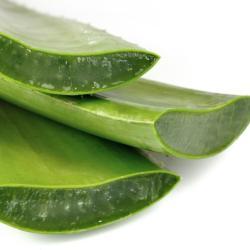 Гель Алоэ Вера высокого качества 98% (арт. 25-17072641)