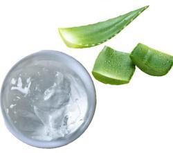 Гель для защиты и увлажнения кожи с экстрактом алоэ вера (арт. 25-17072642)