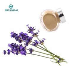 Экстракт лаванды натуральный высокого качества 20:1 (арт. 25-17072646)