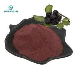 Экстракт черной смородины с антоцианами для здоровья и красоты (арт. 25-17072647)