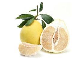 Экстракт грейпфрута порошок 98% натурального (арт. 25-17072653)