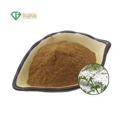 Экстракт Ахиллеи Миллефолиум (арт. 25-17072665)