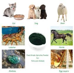 Пищевая добавка Зеленая Спирулина (арт. 25-17072691)