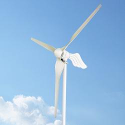 Ветрогенератор горизонтальный 2000W 12v 24v 48v с контроллером (арт. 25-5081301)