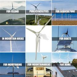 Ветрогенератор горизонтальный 2000W 12v 24v 48v с контроллером (арт. 25-5081301)