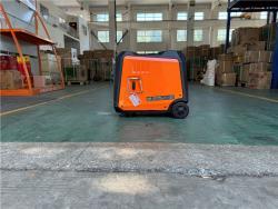 Генератор портативный 6.0 кВт с бензиновым двигателем и ручкой (арт. 25-5083960)