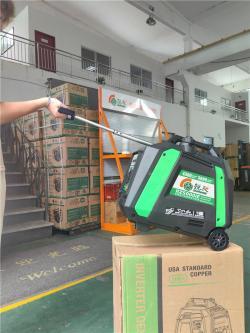 Генератор однофазный портативный 3.8кВ для дома (арт. 25-5083977)