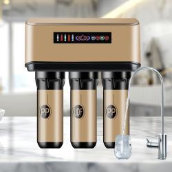 Фильтр для воды очиститель 100G Ro для всего дома (арт. 25-5084891)