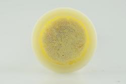 Фильтр мембранный ультрафильтрации 0.01 мкм моющийся (арт. 25-5085061)