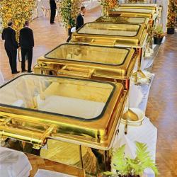 Витрина для подогрева еды электрическая 220В для кейтеринга (арт. 25-5085897)