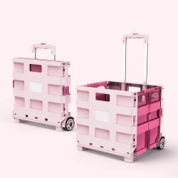 Тележка складная пластиковая экосберегающая 2-в-1 для покупок (арт. 25-5085903)