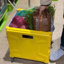 Тележка складная пластиковая 6-колесная для покупок (арт. 25-5086078)