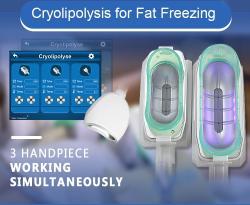Аппарат для криолиполиза RF 60k Cryo для похудения (арт. 25-19081591)