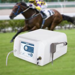 Аппарат ударно-волновой терапии 20Гц для лошадей (арт. 25-19081813)