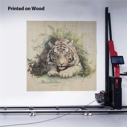 Принтер для стен 3D 5D UV Ink Jet CMYK автоматический (арт. 25-19082019)