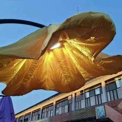 Лампы для сада с автоматической индукцией и надувными цветами (арт. 26-1090414)