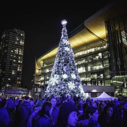 Гирлянда уличная программируемая LED IP65 10м 20м (арт. 26-1090445)