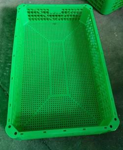 Ящик для транспортировки птицы пластиковый 1160x760x250 мм (арт. 26-1200020)