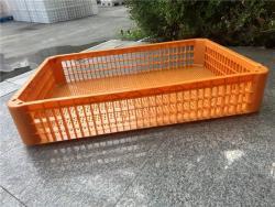 Ящик для транспортировки кур пластиковый 116*77*22 см (арт. 26-1200022)